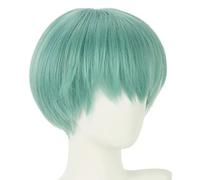 Women Men Demon Hunters Cosplay Wigs Anime,Hunter/X Costume Wig,Rumi Mira Zoey Costume Wigs Purple Braids Adults Accessories Prop (Green)