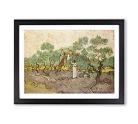 Women Picking Olives By Vincent Van Gogh Classic Painting Framed Print | A4 Black Framed Wall Art | Ready to Hang | Classic Historical Picture | Living Room Bedroom Lounge Office