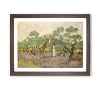 Women Picking Olives By Vincent Van Gogh Classic Painting Framed Print | A4 Walnut Framed Wall Art | Ready to Hang | Classic Historical Picture | Living Room Bedroom Lounge Office