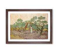 Women Picking Olives by Vincent Van Gogh Framed Print | A2 Walnut Framed Wall Art | Ready to Hang | Modern Historical Picture | Living Room Bedroom Lounge Office