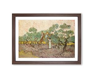 Women Picking Olives by Vincent Van Gogh Framed Print | A2 Walnut Framed Wall Art | Ready to Hang | Modern Historical Picture | Living Room Bedroom Lounge Office
