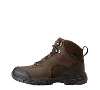 Women’s stable shoes Ariat Skyline Mid H2O Marron 41