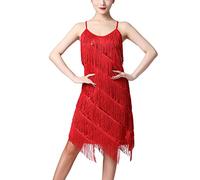 Women Salsa Latin Dance Dress Sequin Tassel Fringe Flapper Dress 1920s Gatsby Cocktail Dress Tango Ballroom Dancing Costume, Red-tassel, XL