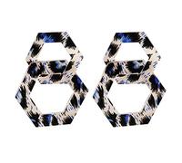 Women Silver Earrings, Charming Hyperbole Leopard Women Long Drop Earrings Acetic Acid Tortoiseshell Geometric Lady Jewelry Brincos Bijoux Gifts For Girlfriend, Wife, Sister, Daughter, Mother On Birt