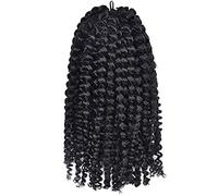 Women Wig Short Curly Twist Braid Hair Crochet Braids Synthetic Hair Extensions Hair Curly Clip for Black Women 8-12inch 1 Piece Wigs for women(Color:8,Size:12inches)