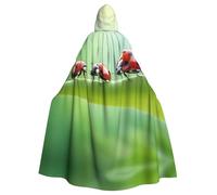 WOmeng Funny Ladybug Print Full Length Halloween Unisex Cloak Hooded Medieval Colors Costume Cosplay Party