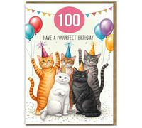 Women's 100th Birthday Card - Party Cats Design - Large A5 Size with Pink Envelope Birthday Card for 100 Year old hundredth hundred