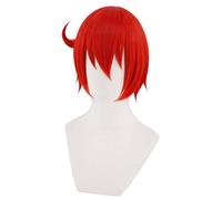 Women's Anime Cosplay Wig for Red Blood Cell Heat Resistant Synthetic Hair Halloween Party Wigs