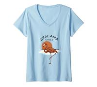 Women's Atacama Chile Flamingo Retro Sunset V-Neck T-Shirt