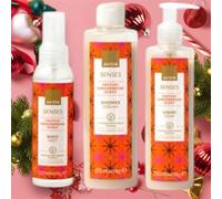 Womens Avon Gingerbread Christmas Edition Set of 3 - Hand Wash, Shower Crème & Spritz - With Gift voucher (Beauty 1st Ltd)