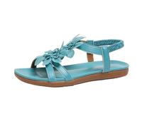Women'S Ballet Flats & Pumps Sandals From Europe America Southeast Asia Retro Vacation Sandals Women's Plus Size Women's Shoes Size 5 Low Heel (Blue, 6)