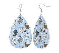 Womens Blue Chinchillas And Moon Print Leather Earrings Teardrop Dangle Earrings Jewelry Outfits Accessories