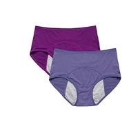 Women's Breathable Mesh Holes Leak-Proof Panties for Menstrual Periods, 2 Pack - - X-Small