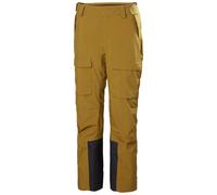 Helly Hansen Switch Cargo 2.0 Pants Brown L Woman