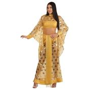 Women's Cher Costume Dress - 70s Pop Icon Outfit for Halloween or Parties, Gold, X-Small