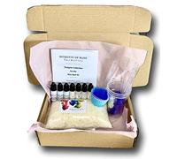 Women's Designer DIY Wax Melt Tart Kit - Make Your Own Starter Set: Designer Fragrances, Eco Soy Wax, Designer Fragrances, Concentrated Dyes, Electronic Thermometer! Makes 20 Tarts!