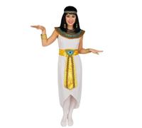 Women's Egyptian Pop Star Fancy Dress Costume & Wig - Xlarge - Cleopatra Style Outfit for Halloween, Festivals, Themed Parties & Stage Performances - Colourful Design for Ladies