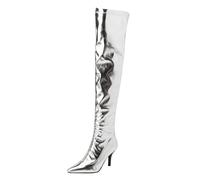 Women's Fashion Metal Over The Knee Boots Nightclub Party Wear High Heel Stiletto Zipper Dance Footwear For Ladies (Silver, 5)