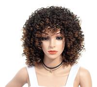 Women's Fashion Wigs Gradient Color African Small Curly Explosive Hair