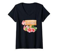 Women's Flamingo Aruba Souvenir/Aruba V-Neck T-Shirt