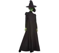 Womens Halloween Wicked Witch Fancy Dress Costume Size 12-14