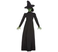 Womens Halloween Witch Adult Fancy Dress Party Costume Dress & Hat Black