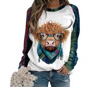 Women's Highland Cow 3D Printed Sweatshirts Long Sleeve T-Shirt Funny Graphic Pullover Sweater Casual Tshirts Tops