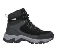 Women's hiking shoes Whistler Detion 36