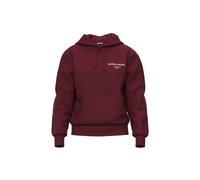 Women's hooded sweatshirt Björn Borg Essential 1 Rouge S