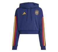 Spain DNA Hoodie