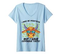 Womens I May Be Practical But I Have Expensive Tastes Zodiac Sign V-Neck T-Shirt