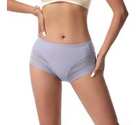 Women's Ice Silk Swim Briefs High Elastic Mesh Lace Underwear Solid Color Quick Drying Bathing Suit for Beach Pool S-XXL(M Blue)