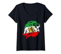 Women's Iran Lion Sun Flag,Iran,Persian,Shir o Khorshid V-Neck T-Shirt