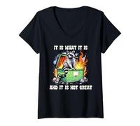 Womens It is What It is and It is Not Great Raccoon Dumpster Fire V-Neck T-Shirt