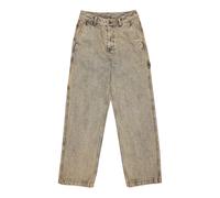 Women's jeans Element Carpenter Gris Lx29