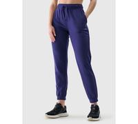 Women's jogger sweatpants 4F 4FWMM00TTROF1138-31S