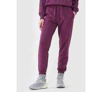 Women's jogger sweatpants 4F 4FWSS25TTROF0993-50S