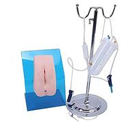 Women's Male Catetering Model Anatomy Simulator Usable Teaching Training Mold For Doctors Nursing Intuitive Catheterism