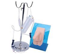 Women's Male Catetering Model Anatomy Simulator Usable Teaching Training Mold For Doctors Nursing Intuitive Catheterism