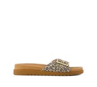 Toms Marin Slide Women's Leopard Sandals UK 5