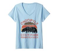 Womens Ohiopyle State Park V-Neck T-Shirt