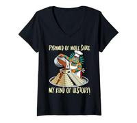 Womens Pyramid of Mole Sauce V-Neck T-Shirt