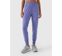 Women's quick-drying training pants 4F 4FRSS25TFTRF0789-32S