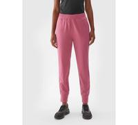 Women's quick-drying training pants 4F 4FWAW24TFTRF689-53S
