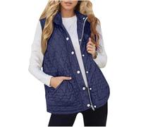 Women's Quilted Padded Gilet Button Zip Vest Sleeveless Stand Collar Jacket | Womens Down Jackets, Warm Soft Gilet, Fuzzy Fluffy Coat, Windproof Waistcoat, Outerwear with Pockets for Outdoor Indoor