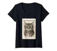 Womens Rage is Consuming Me Funny Silly Staring Cat Meme Sumi-e V-Neck T-Shirt