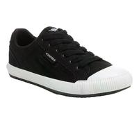 Womens Rocket Dog Cheery Low Casual Lace Up Canvas Shoes Trainers Sizes 4 to 8