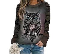 Women's Round Neck Long Sleeve Top 3D Owl Graphic Pullover Sweatshirt Animal Owl Print Jumper Casual Loose Tops