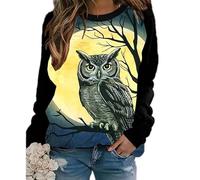 Women's Round Neck Long Sleeve Top 3D Owl Graphic Pullover Sweatshirt Animal Owl Print Jumper Casual Loose Tops
