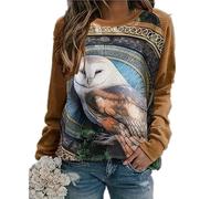 Women's Round Neck Long Sleeve Top 3D Owl Graphic Pullover Sweatshirt Animal Owl Print Jumper Casual Loose Tops